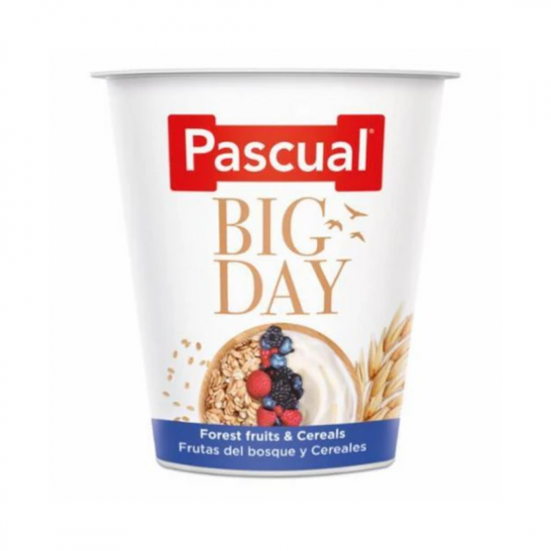 Pascual Big Day Yoghurt – Fruit of the Forest & Cereals 125g